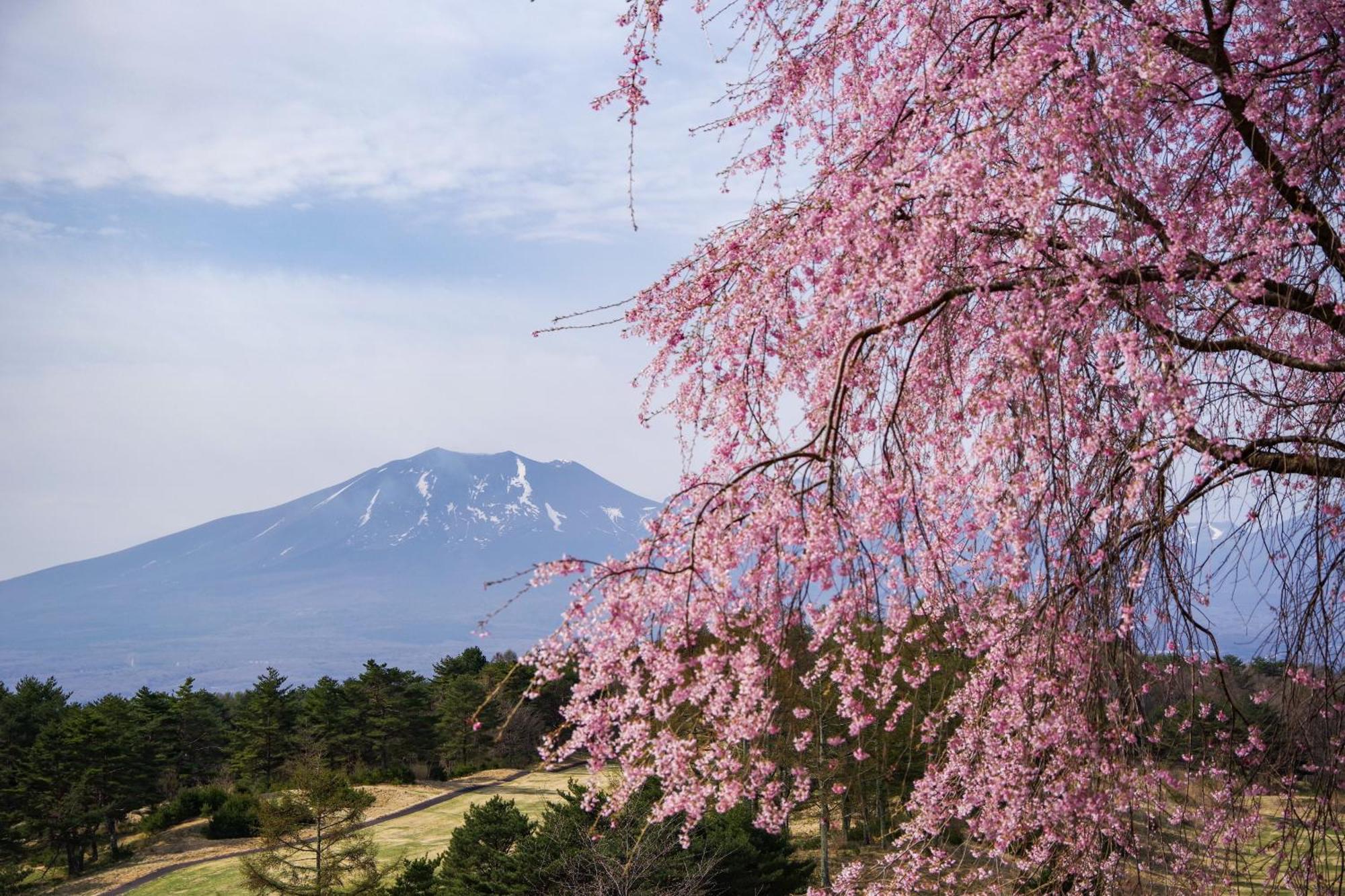 Tsumagoi Prince Hotel Экстерьер фото